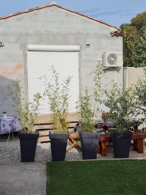Appartement 53 M² - Pignans Au Coeur Du Var Exteriér fotografie